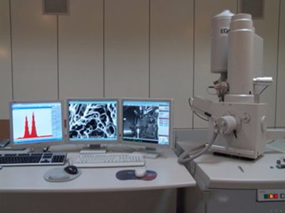  Microscopie électronique à balayage